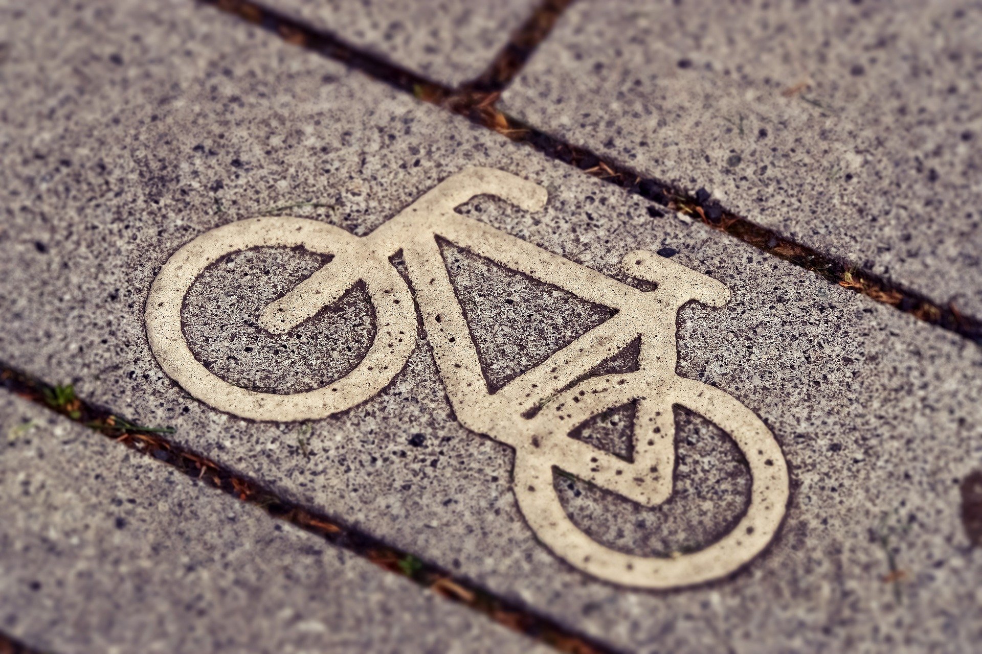 Charytatywny rajd rowerowy w Pabianicach już 1 sierpnia