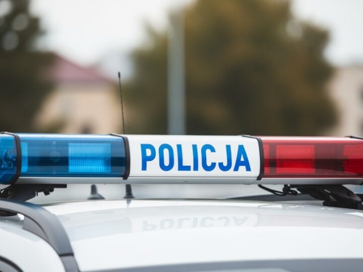 Pabianice w szoku: 36-latka przyznała się do wrzucenia psa do toalety!