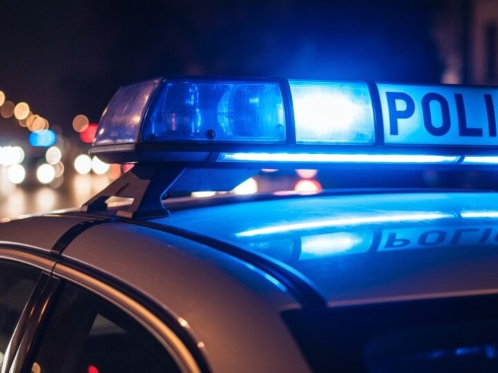 Pies utopiony w toalecie: Właścicielka zatrzymana przez policję za okrutne znęcanie się