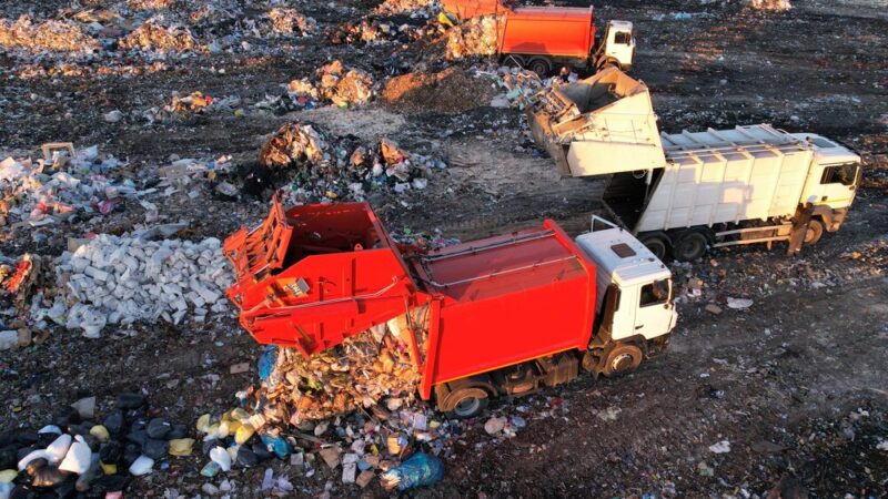Śmieciarze złapani na gorącym uczynku dzięki fotopułapkom!
