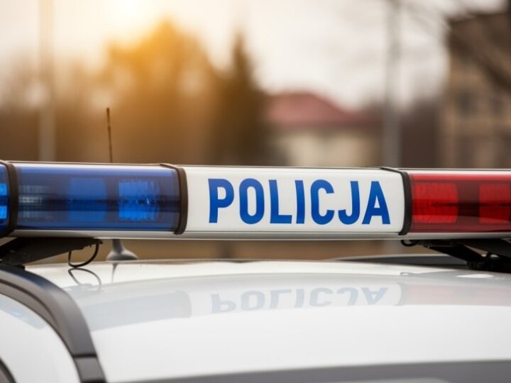 Dzielnicowi i leśnicy w akcji: chronią lasy przed kradzieżami stroiszu!