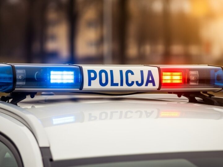 Mali odkrywcy poznają świat policji we Wrzącej!