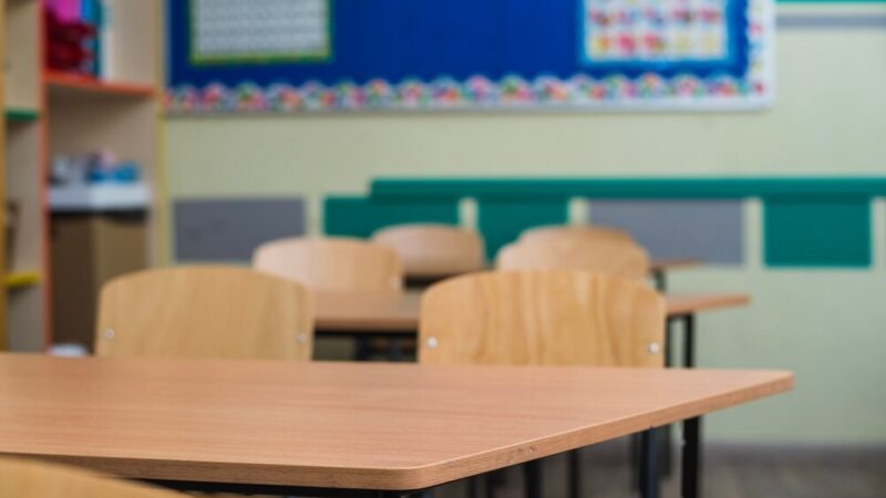 Ogródek dydaktyczny – przygoda z nauką i naturą na świeżym powietrzu!