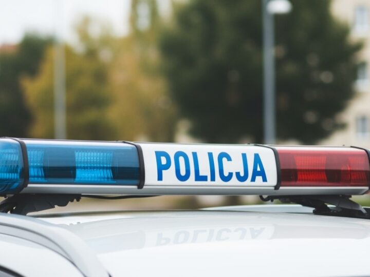 Pabianicka policja zatrzymuje 46-latkę za kradzież w sklepie