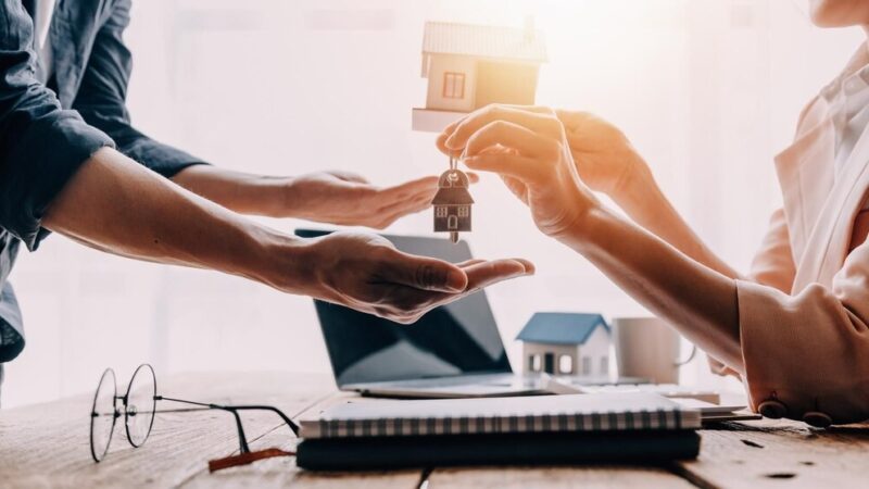 Termomodernizacja Urzędu Miejskiego w Pabianicach na nowym poziomie efektywności energetycznej