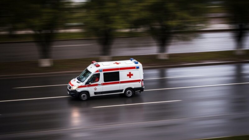 Ćwiczenia „Drzewociny 2025”: Służby testują koordynację w Pabianicach