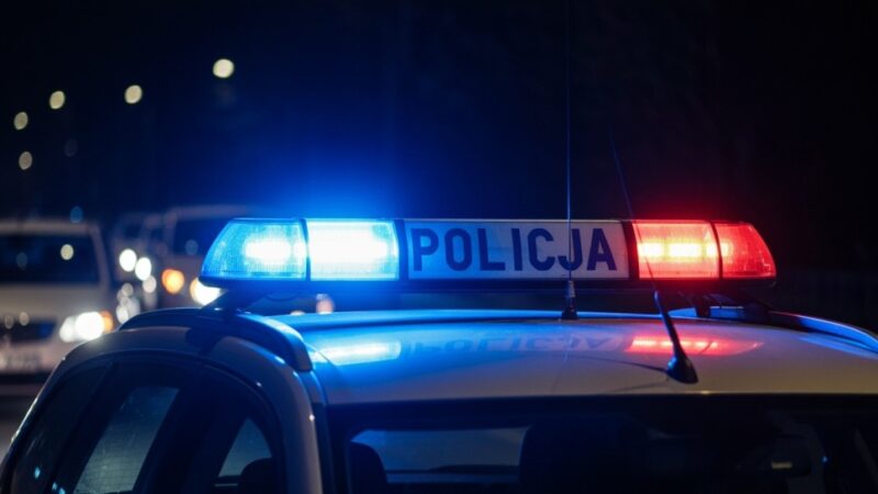 Zatrzymanie złodzieja samochodu dzięki współpracy kilku jednostek Policji