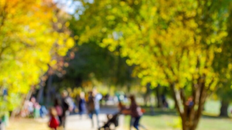 Wigilia w Pabianicach: Miłość i radość w sercu społeczności