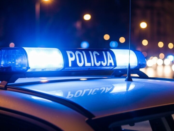 Złodziej ukradł auto na wycieczkę, ale wpadł w poślizg