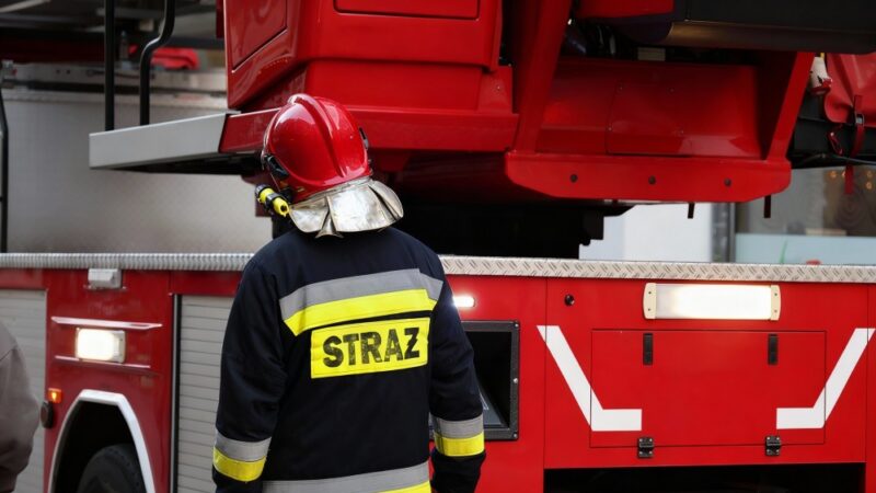 Zostań częścią Młodzieżowej Drużyny Pożarniczej OSP i poznaj tajniki strażackiego życia!