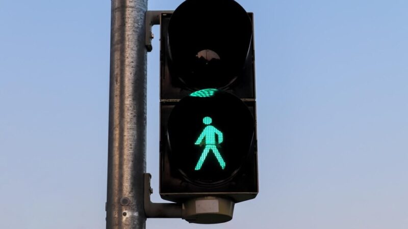 Międzynarodowy Dzień Zebry: Zadbaj o bezpieczeństwo na przejściach!