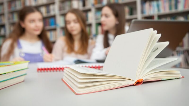 Konkurs literacko-plastyczny: Bohaterowie literaccy w komiksie i animacji