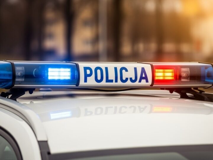 Pabianicka policja z nową czworonogą funkcjonariuszką o imieniu Wesoła