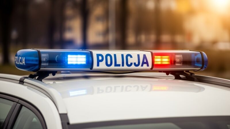 Pabianicka policja z nową czworonogą funkcjonariuszką o imieniu Wesoła