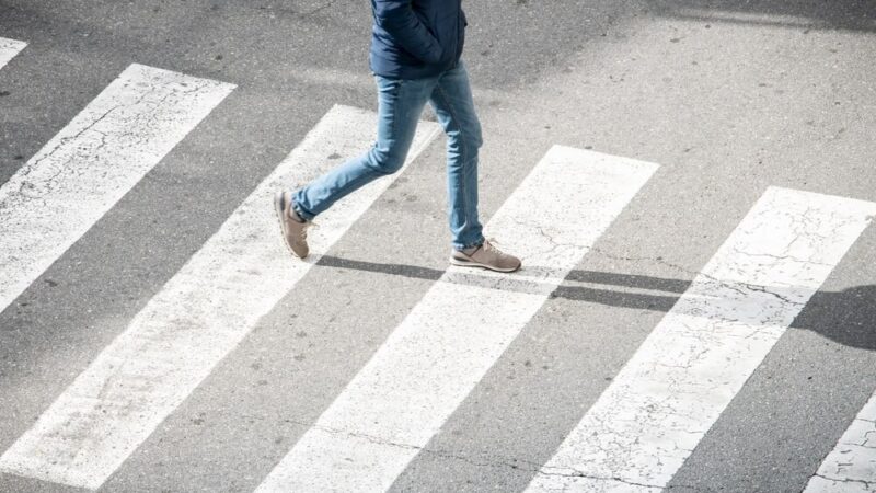 Sarna uwolniona: Policja ratuje zwierzę w Konstantynowie