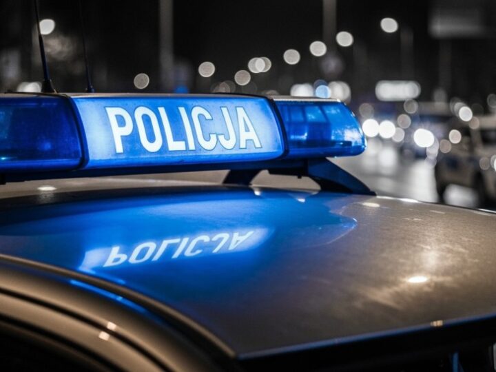 Złodziej robota kuchennego w Pabianicach w rękach policji