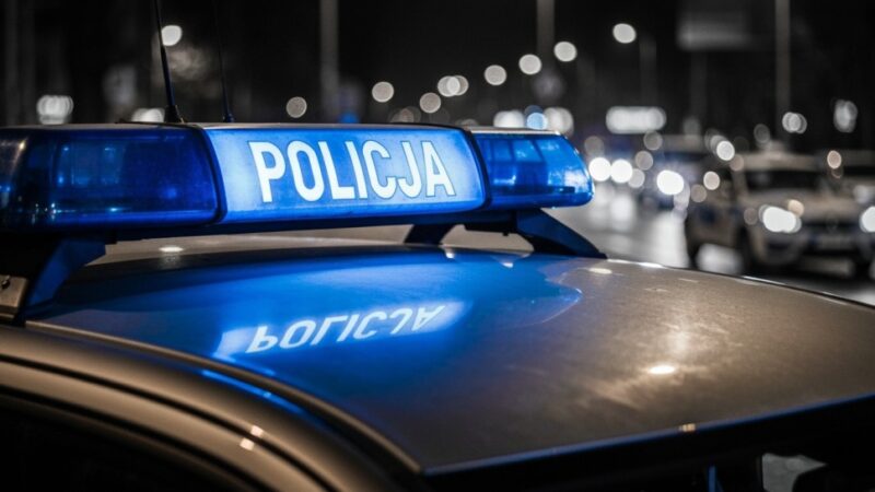 Złodziej robota kuchennego w Pabianicach w rękach policji