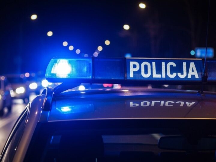 Pabianice: młodzi oszuści w areszcie po zatrzymaniu przez policję