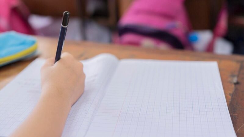 Nowoczesne narzędzia informatyczne dla szkół zawodowych i podstawowych w Pabianicach