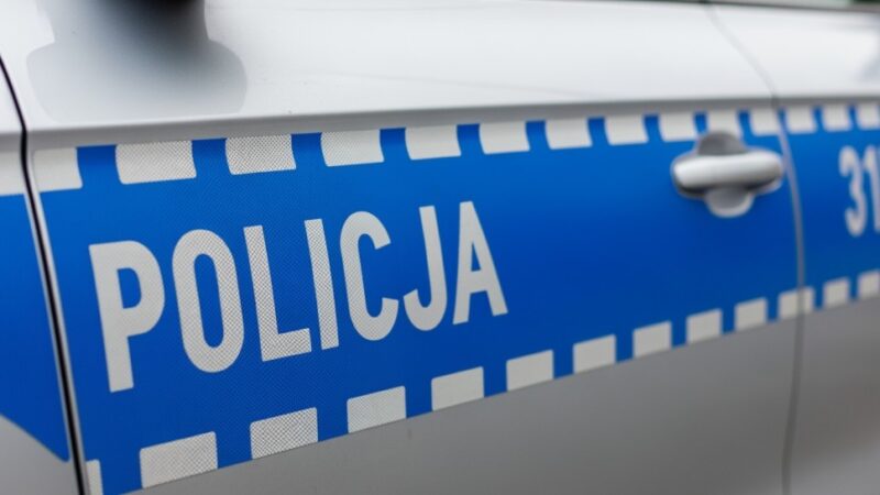 Policja zatrzymała sześć osób w intensywnych działaniach poszukiwawczych
