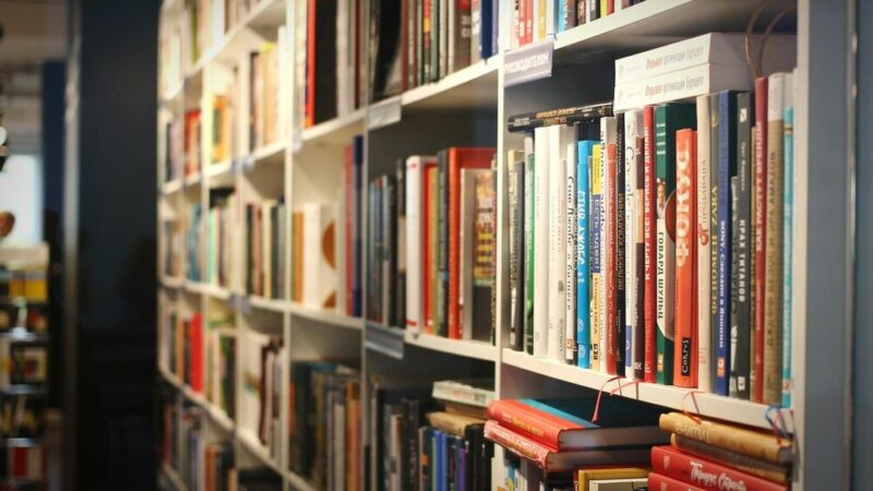 Książka w drodze: Pabianicka Biblioteka zaprasza do literackiej podróży!